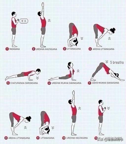 17幅收藏级瑜伽序列图，揭开瑜伽老师备课的秘密