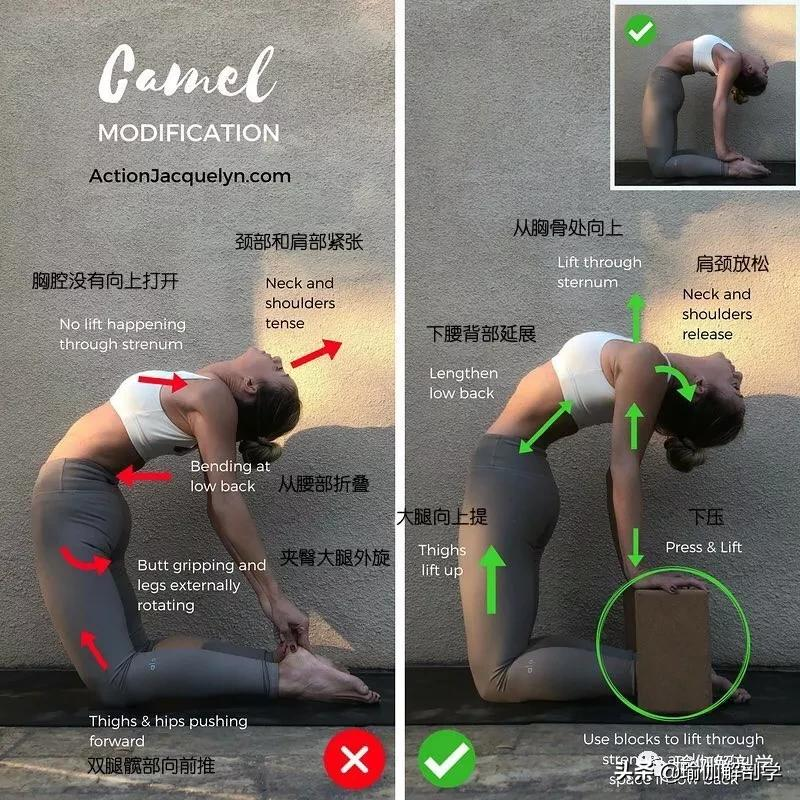 详解这些常见瑜伽体式动作的正确和错误对比