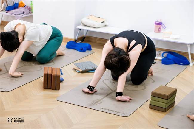 新手入行瑜伽教练必知的5个关键要点