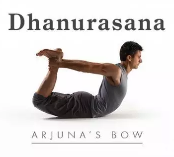 瑜伽教练培训之：瑜伽体式弓式