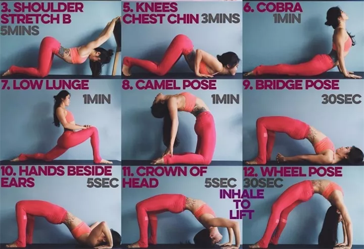 瑜伽教练培训之后弯体式之轮式进阶练习