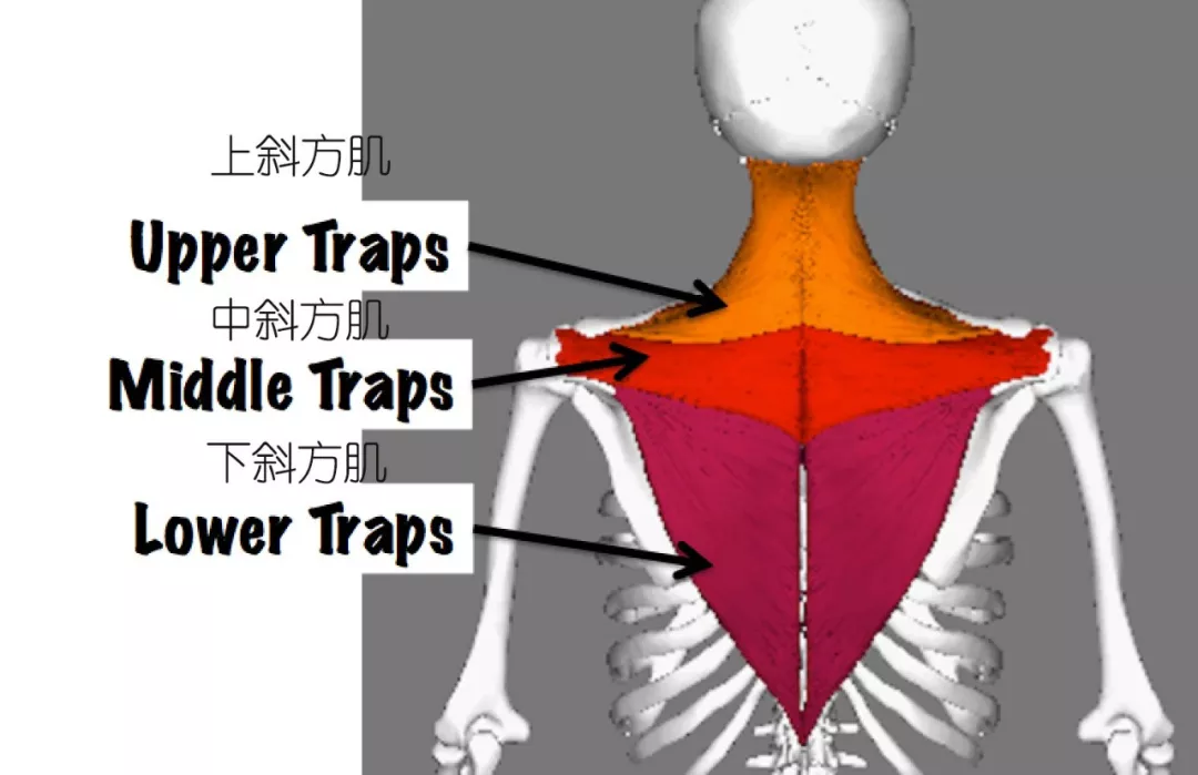 微信图片_20191105154825.png