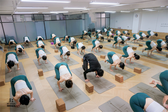 瑜伽教练培训机构